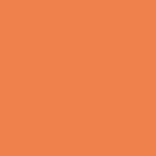 Fond Papier 2.72X11m - Orange
