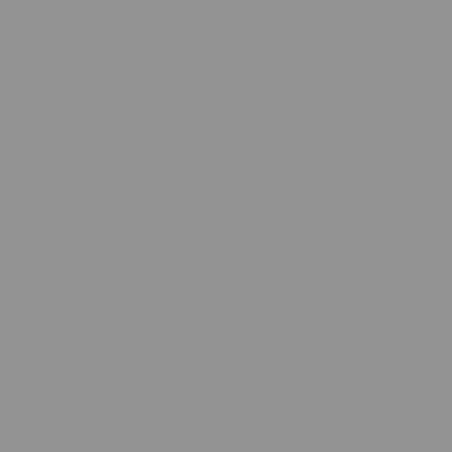 Fond Papier 2.72X11m - Gris