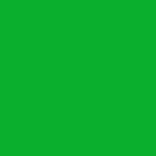 Fond Papier 2.72X11m - Vert