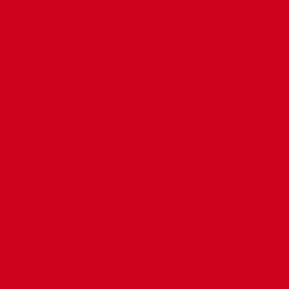 Fond Papier 2.72X11m - Rouge