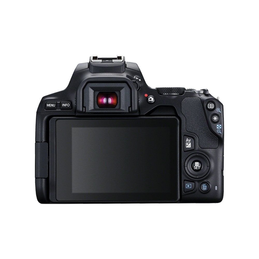 Canon EOS 250D Camera + Objectif EF-S 18-55mm IS STM
